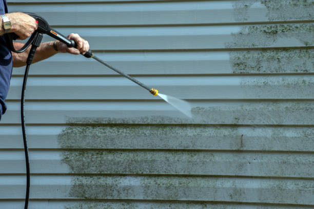Best Driveway Pressure Washing  in Stonewall, MS